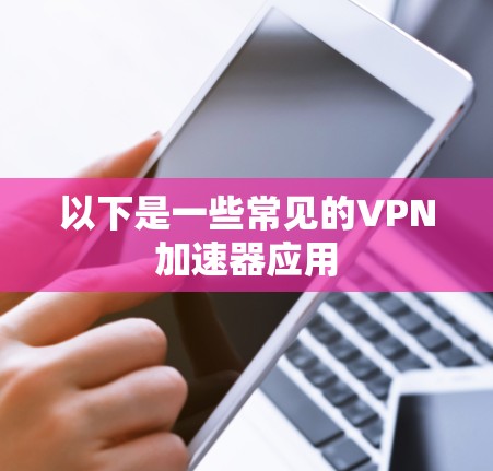 以下是一些常见的VPN加速器应用