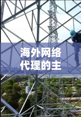 海外网络代理的主要作用