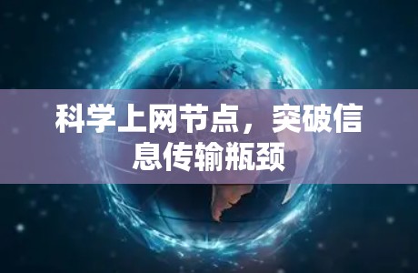 科学上网节点，突破信息传输瓶颈
