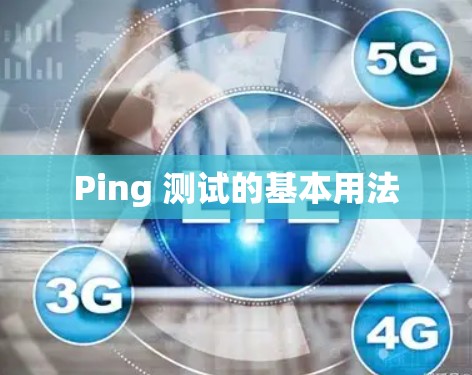 Ping 测试的基本用法