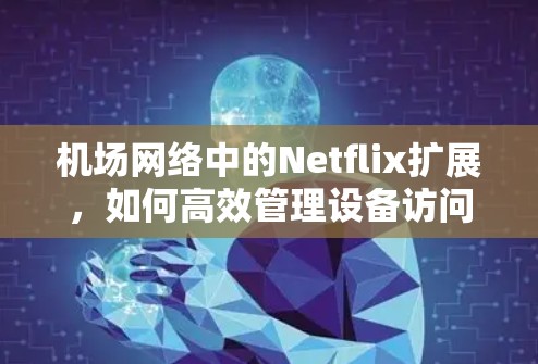 机场网络中的Netflix扩展，如何高效管理设备访问