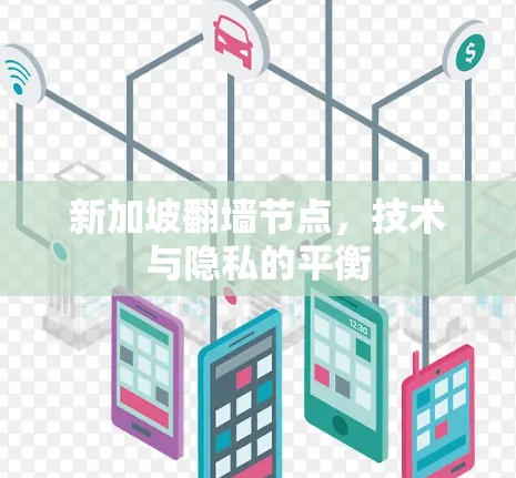 新加坡翻墙节点，技术与隐私的平衡