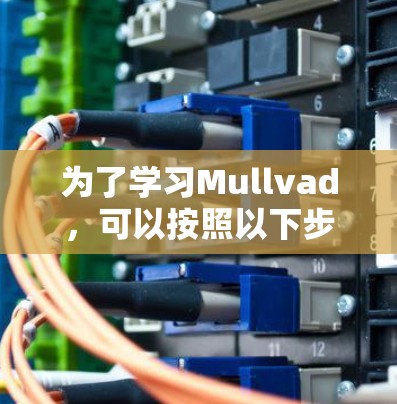 为了学习Mullvad，可以按照以下步骤进行