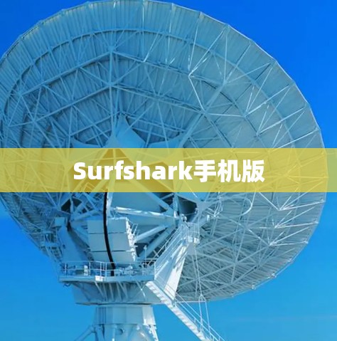 Surfshark手机版 Surfshark手机版