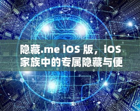 隐藏.me iOS 版，iOS 家族中的专属隐藏与便捷