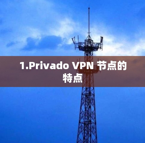 1.Privado VPN 节点的特点 1.Privado VPN 节点的特点