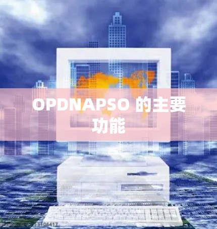 OPDNAPSO 的主要功能