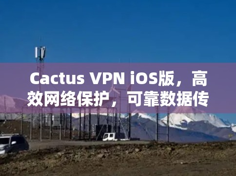 Cactus VPN iOS版，高效网络保护，可靠数据传输