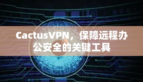 CactusVPN，保障远程办公安全的关键工具