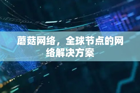 蘑菇网络，全球节点的网络解决方案