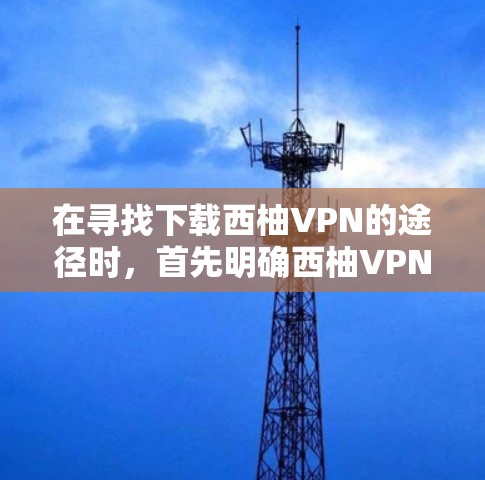 在寻找下载西柚VPN的途径时，首先明确西柚VPN是什么，然后了解其主要功能和适用人群。以下是详细的步骤指南