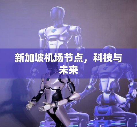 新加坡机场节点，科技与未来