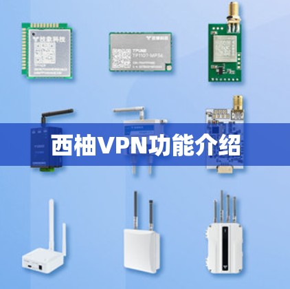 西柚VPN功能介绍 西柚VPN功能介绍