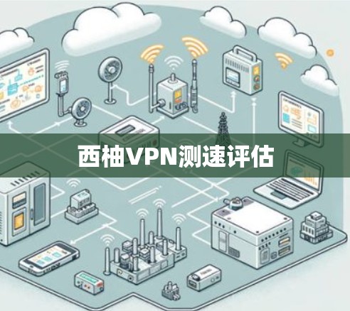西柚VPN测速评估 西柚VPN测速评估