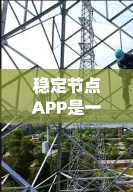 稳定节点APP是一款基于Node.js的RESTful API构建工具，旨在帮助开发者快速创建和管理和维护Web应用。以下是关于稳定节点APP的详细介绍