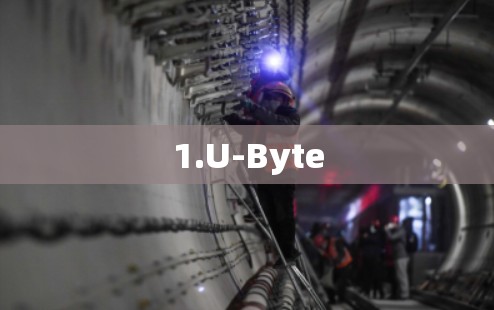 1.U-Byte 1.U-Byte