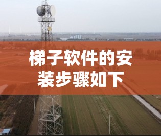 梯子软件的安装步骤如下