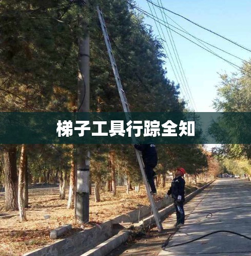 梯子工具行踪全知