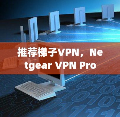 推荐梯子VPN，Netgear VPN Pro