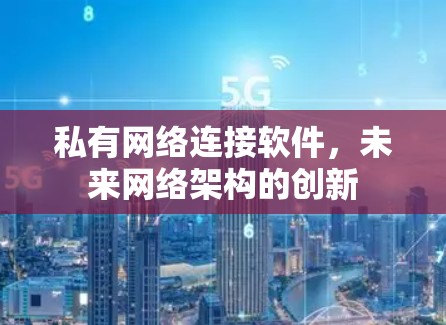 私有网络连接软件，未来网络架构的创新