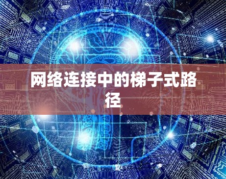 网络连接中的梯子式路径 网络连接中的梯子式路径