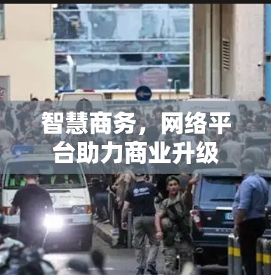 智慧商务，网络平台助力商业升级