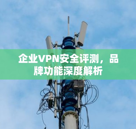 企业VPN安全评测，品牌功能深度解析