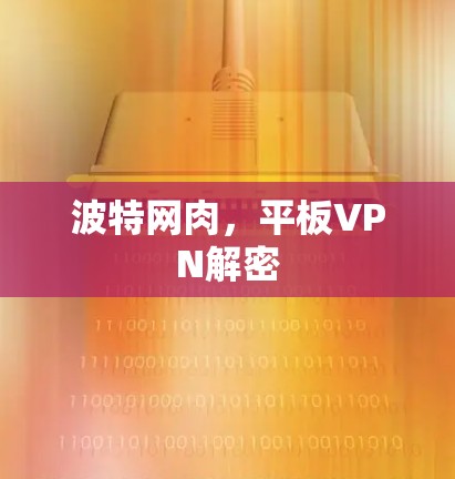 波特网肉，平板VPN解密