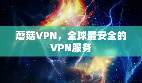 蘑菇VPN,全球最安全的VPN服务 蘑菇VPN,全球最安全的VPN服务