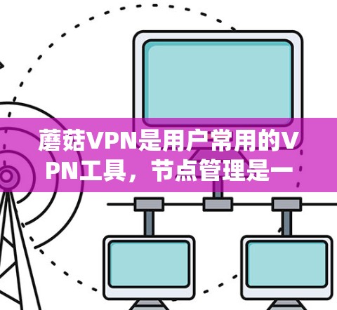 蘑菇VPN是用户常用的VPN工具，节点管理是一个复杂但系统的流程，涉及管理节点、配置访问控制规则等。以下是针对蘑菇VPN节点管理的总结和步骤指南