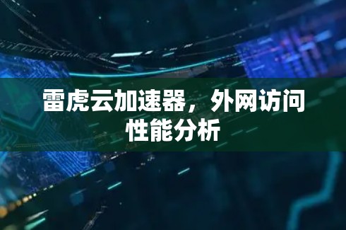 雷虎云加速器，外网访问性能分析