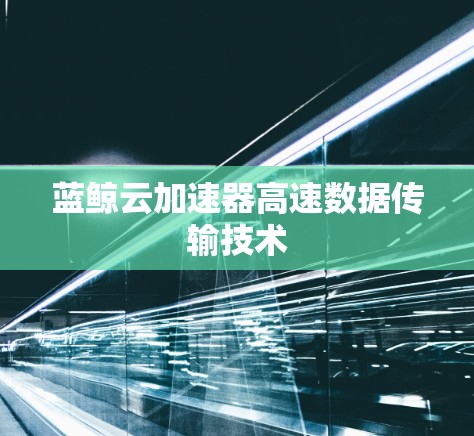 蓝鲸云加速器高速数据传输技术