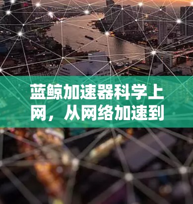 蓝鲸加速器科学上网，从网络加速到信息传输的革命性技术