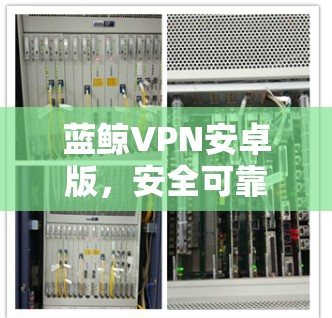 蓝鲸VPN安卓版,安全可靠,轻松连接手机 蓝鲸VPN安卓版,安全可靠,轻松连接手机