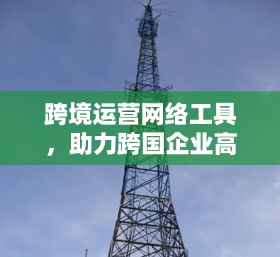 跨境运营网络工具，助力跨国企业高效运营